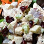 Chicken Salad with Greek Yogurt, Apples and Pecans