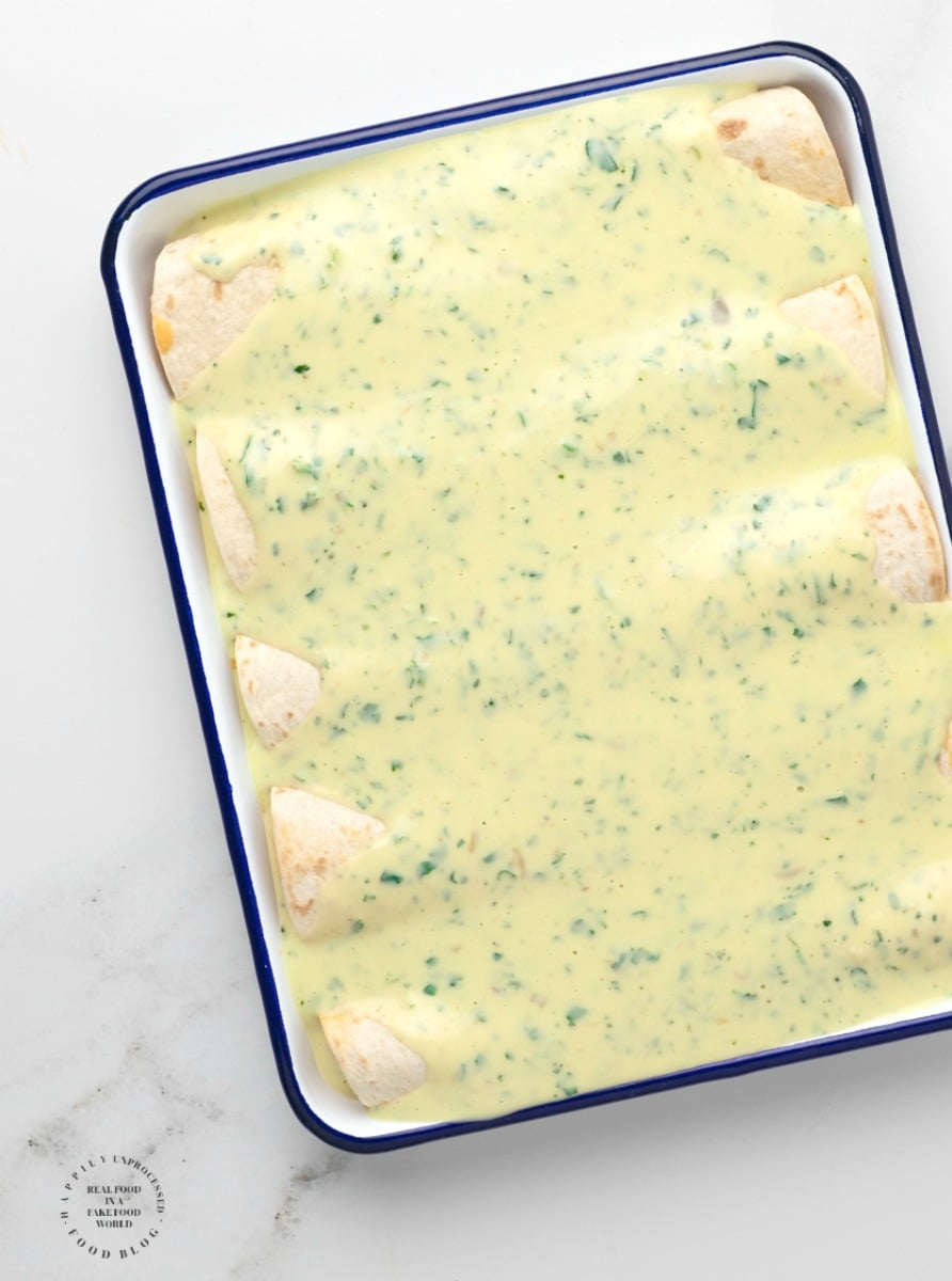 CREAMY SHRIMP ENCHILADAS - succulent shrimp inside an enchilada topped with a creamy cheesy sauce #seafood #shrimp #enchilada #happilyunprocessed