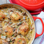 Roasted Chicken with Mushrooms and White Wine roasted chicken thighs in a creamy mushroom sauce