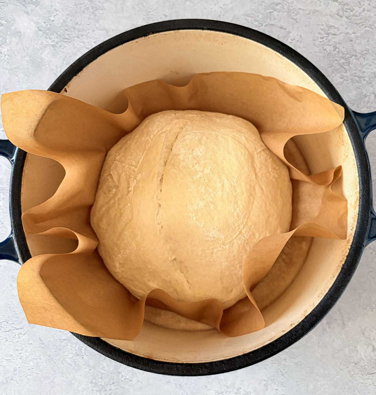 Uncooked sourdough in dutch oven with parchment paper